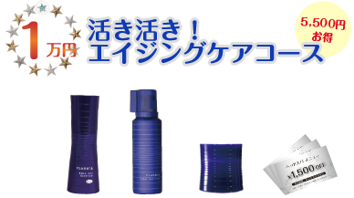 エイジングコース